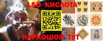 a pvp Краснокаменск